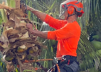 El Chino Tree Services - Hialeah, FL Tree Services - Team Working Image