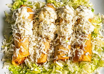 Hialeah Food Trucks El Maguey on the Road