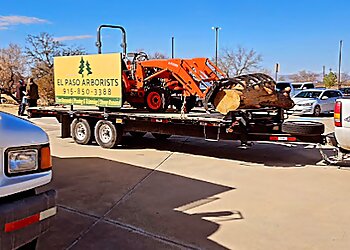 El Paso Tree Services El Paso Arborists