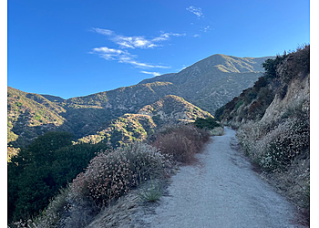 Pasadena Hiking Trails El Prieto Canyon