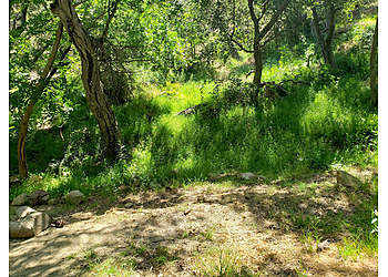 Pasadena Hiking Trails El Prieto Canyon