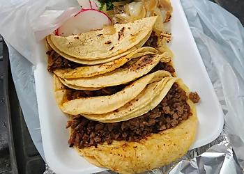 Detroit Food Trucks El Taco Veloz