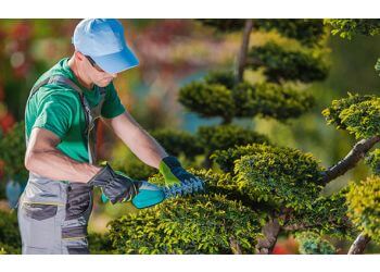 Elegance Landscaping Pembroke Pines Lawn Care Services