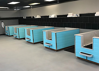 Portland Pet Grooming Elegant Dog Grooming LLC