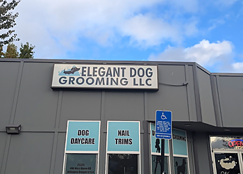 Elegant Dog Grooming LLC Portland Pet Grooming image 1