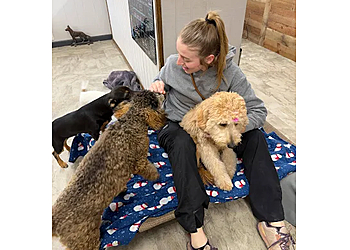 Tucson Dog Training Elevate Dog Center