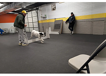 Tucson Dog Training Elevate Dog Center