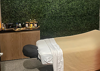 Round Rock Spas Elevations Massage