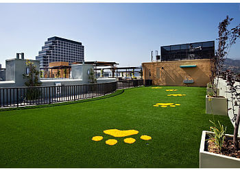 Glendale Apartments For Rent Eleve Lofts and Skydeck Apartments