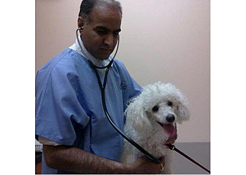 Elgin Veterinary Clinics Elgin Animal Clinic