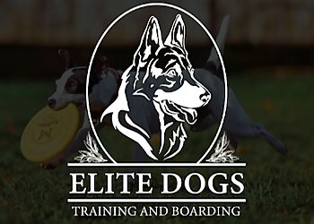 Sacramento Dog Training Elite Dogs Training & Boarding