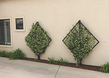 Bakersfield Landscaping Companies Elite Garden and Landscape