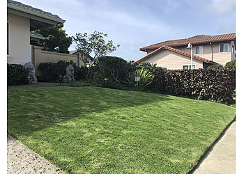 Honolulu Lawn Care Services Elite Island Scapes