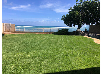 Honolulu Lawn Care Services Elite Island Scapes