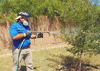 3 Best Pest Control Companies in Brownsville, TX - ThreeBestRated