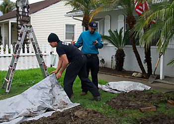 Westminster Plumbers Elite Rooter