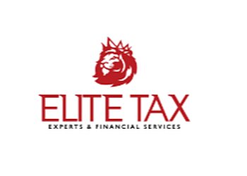 Tampa Tax Services Elite Tax Experts & Financial Services