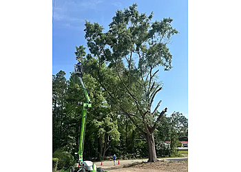 Fayetteville Tree Services Elite Tree Service