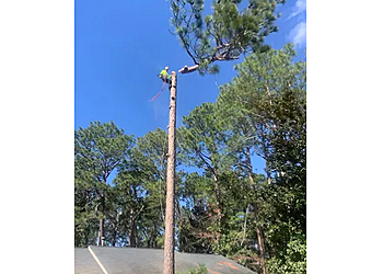Fayetteville Tree Services Elite Tree Service