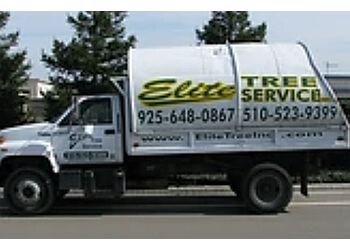 Oakland Tree Services Elite Tree Service