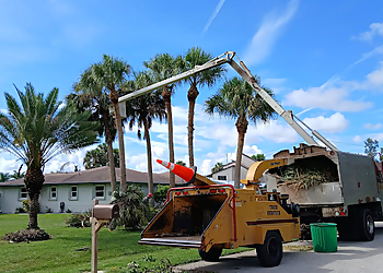Cape Coral Tree Services Elite Tree Service LLC
