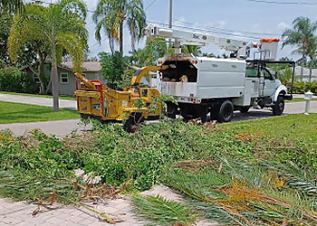 Elite Tree Service LLC  Cape Coral Tree Services image 1