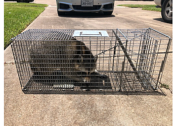 Houston Animal Removal Elite Wildlife Services
