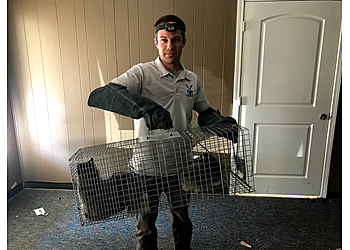 Elite Wildlife Services Houston Animal Removal image 1