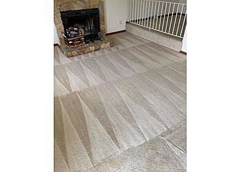 Springfield Carpet Cleaners Elite cleaning
