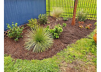 Eli the Lawn Guy New Orleans Lawn Care Services image 1