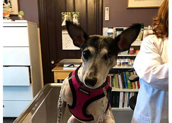 Elizabeth Veterinary Clinics Elizabeth Veterinary Clinic Inc.