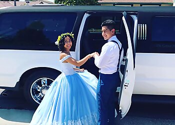 Elk Grove Limo Service Elk Grove Party Bus, LLC