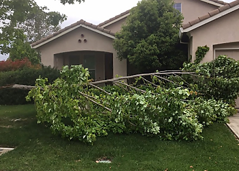Elk Grove Tree Services Elk Grove Tree Services