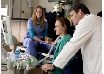 Ellicott Street Animal Hospital - Buffalo, NY Veterinary Clinics - Medical Procedure Image