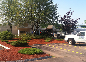 Worcester Tree Services Elliott Tree