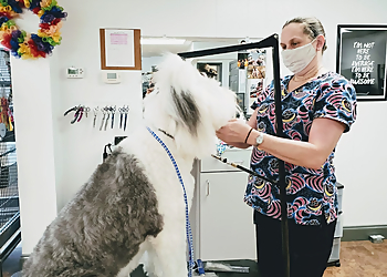 Durham Pet Grooming Elliotte's Pet Spa & Salon Inc.