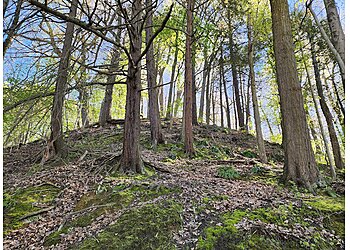 Rochester Hiking Trails Ellison Park