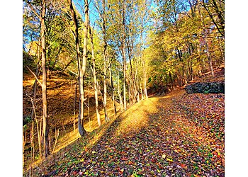 Rochester Hiking Trails Ellison Park