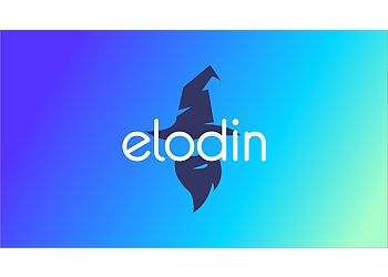 Elodin Design, Inc. Waco Web Designers