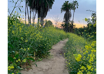 Los Angeles Hiking Trails Elysian Park Trail
