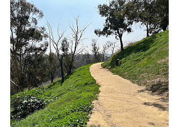 Los Angeles Hiking Trails Elysian Park Trail