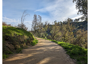 Elysian Park Trail Los Angeles Hiking Trails