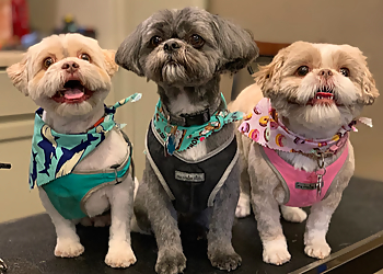 Milwaukee Pet Grooming Embark Pet Spa