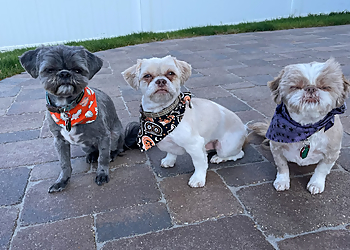 Milwaukee Pet Grooming Embark Pet Spa