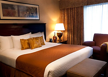 Lubbock Hotels Embassy Suites by Hilton Lubbock