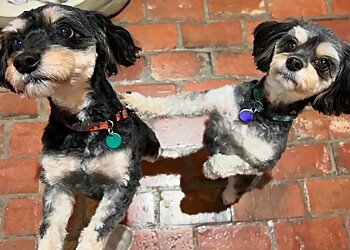 Baton Rouge Dog Walkers Emily Says Sit