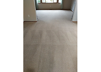 Empire Chem-Dry - Kent, WA Carpet Cleaners - Service Highlights