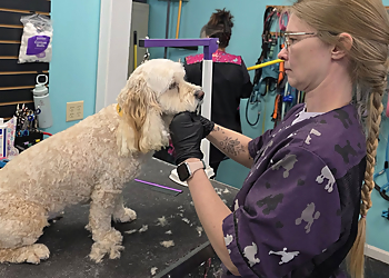 Kansas City Pet Grooming Empire Pets Salon & Boutique