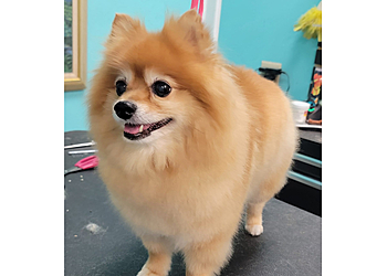 Kansas City Pet Grooming Empire Pets Salon & Boutique