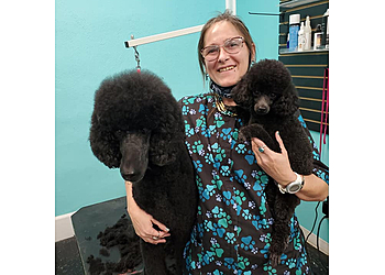 Empire Pets Salon & Boutique Kansas City Pet Grooming image 1